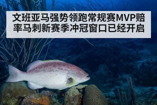 文班亚马强势领跑常规赛MVP赔率马刺新赛季冲冠窗口已经开启